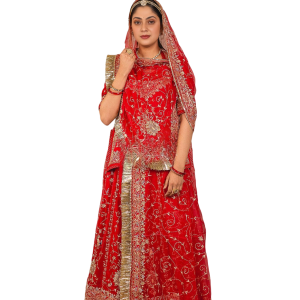 Red Aari Resham Sequins Work Poshak | Pure Georgette Collection | Jaipurio Designer Wear